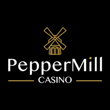 Meilleur casino en ligne belge : top 10 des casinos en Belgique en 2025