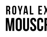 logo royal excelsior mouscron